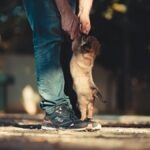 Aeroporto di Filadelfia (PHL)