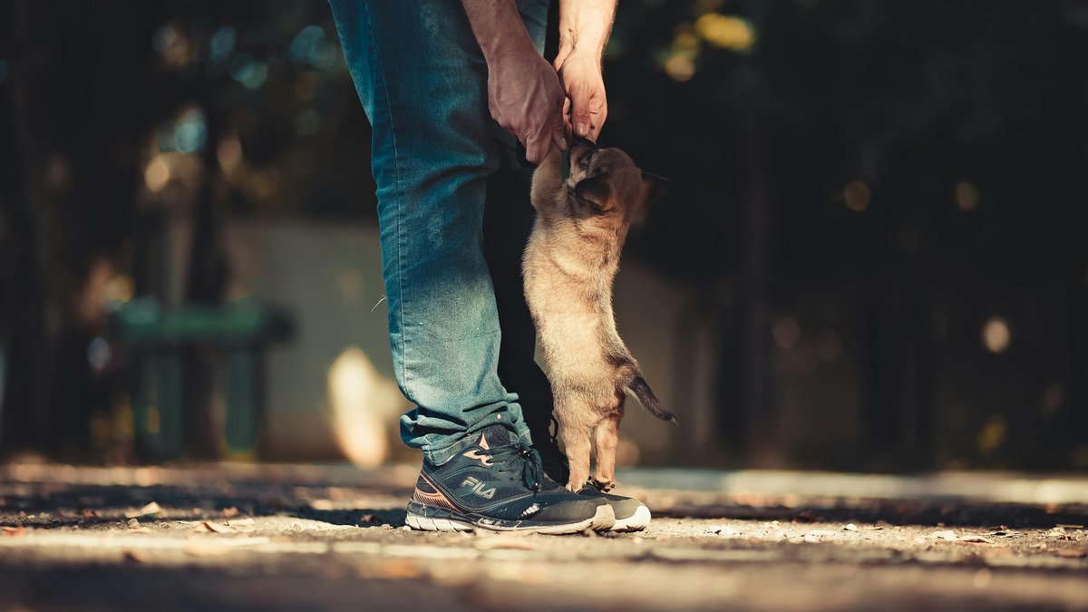 Aeroporto Internazionale di Filadelfia