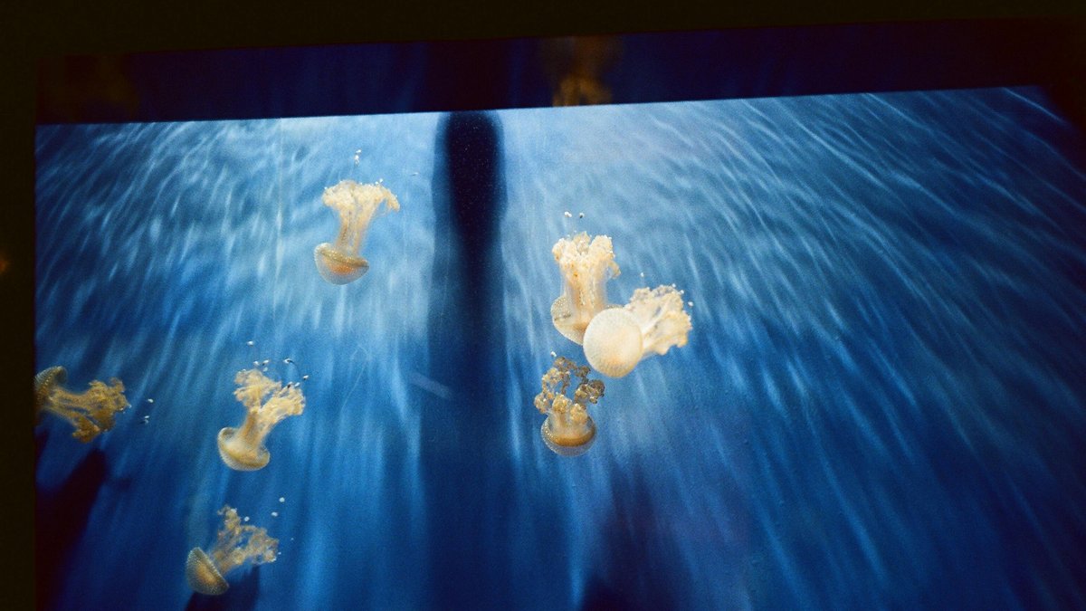 Aeroporto di Genova-Sestri