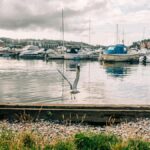 Aeroporto di Oslo Sandefjord-Torp (TRF)